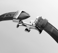 longines-master-collection-chrono-monopusher-l2-960-4-93-2-detailed-view-2143x2000-8-fa8047.jpg