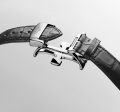 longines-master-collection-l2-949-4-99-2-detailed-view-2143x2000-6-0e3166.jpg