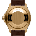 n17376201q1s1-superocean-automatic-44-back.png